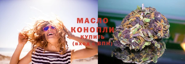 дмт Дмитров