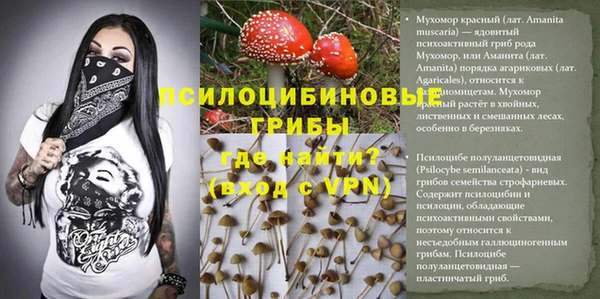 каннабис Дмитриев