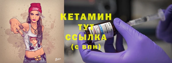 дмт Дмитров