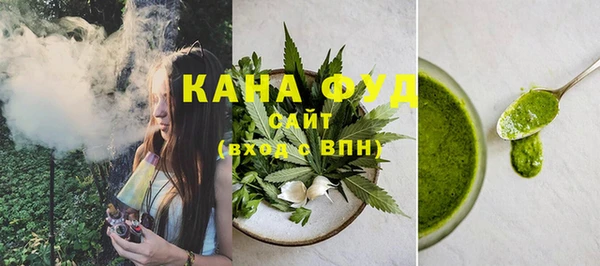 дмт Дмитров