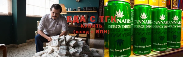 дмт Дмитров