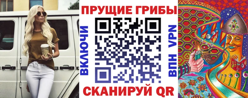 Купить где  Знаменск  Галлюциногенные грибы Cubensis 